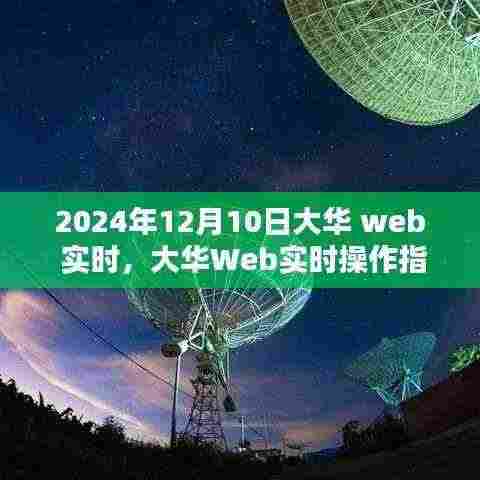 大华Web实时操作指南,初学者轻松掌握的技能(2024年12月版)