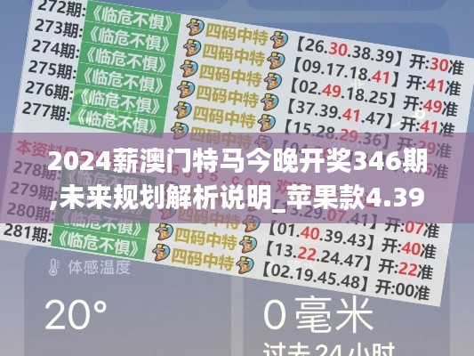 2024薪澳门特马今晚开奖346期,未来规划解析说明_苹果款4.390