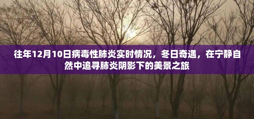 冬日肺炎阴影下的美景追寻,往年12月10日病毒性肺炎实时与美景之旅