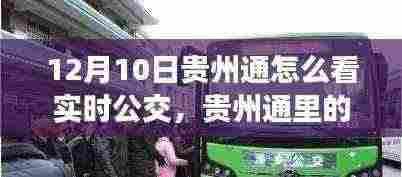 贵州通实时公交之旅,探寻公交的奇妙时光(12月10日指南)