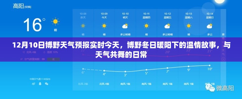 博野冬日暖阳下的温情故事,今日天气预报与日常共舞