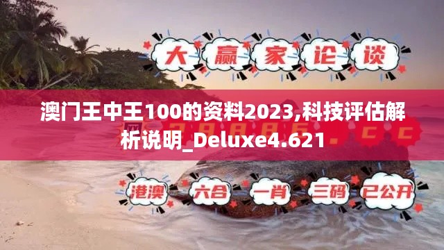 澳门王中王100的资料2023,科技评估解析说明_Deluxe4.621