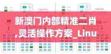 新澳门内部精准二肖,灵活操作方案_Linux10.531