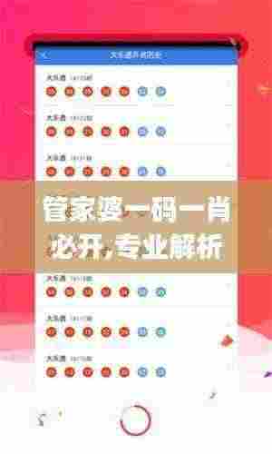 管家婆一码一肖必开,专业解析说明_标配版4.387