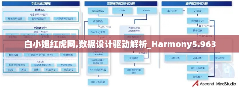 白小姐红虎网,数据设计驱动解析_Harmony5.963