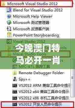 今晚澳门特马必开一肖,灵活性执行计划_薄荷版3.807