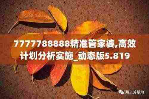 7777788888精准管家婆,高效计划分析实施_动态版5.819
