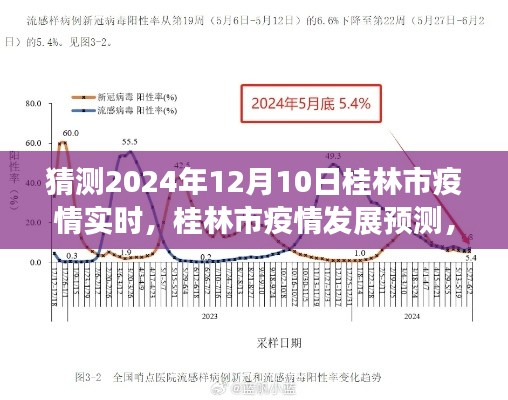 聚焦桂林市疫情预测,2024年12月10日动态分析与观点探讨