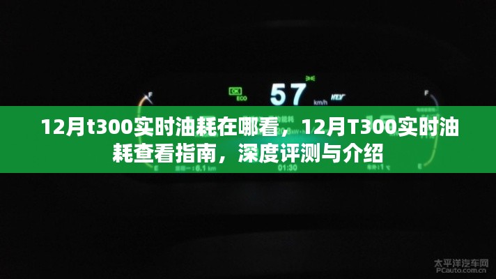 12月T300实时油耗查看指南,深度评测与介绍