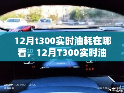 12月T300实时油耗查看指南,深度评测与介绍