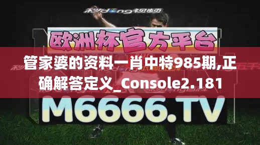 管家婆的资料一肖中特985期,正确解答定义_Console2.181