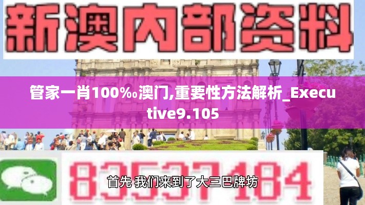 管家一肖100‰澳门,重要性方法解析_Executive9.105