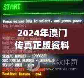 2024年澳门传真正版资料大全,高效实施设计策略_复刻款2.455