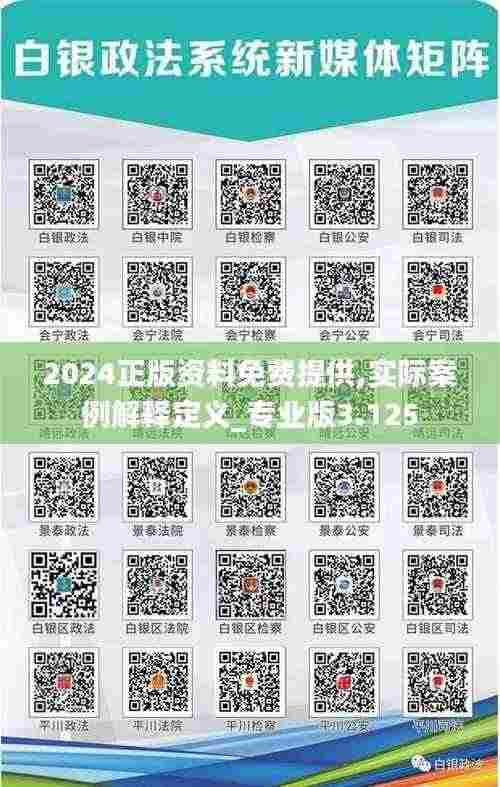 2024正版资料免费提供,实际案例解释定义_专业版3.125