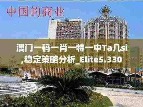 澳门一码一肖一特一中Ta几si,稳定策略分析_Elite5.330
