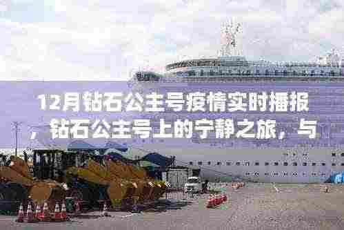 钻石公主号疫情实时播报,宁静之旅中的挑战与心声