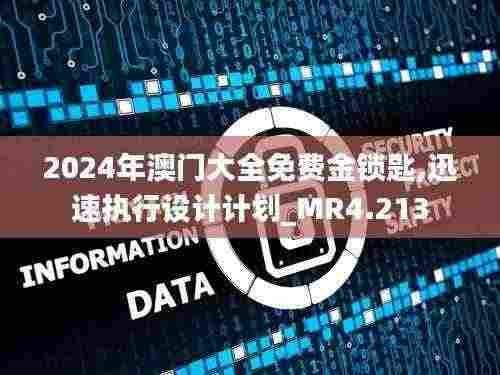 2024年澳门大全免费金锁匙,迅速执行设计计划_MR4.213
