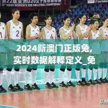 2024新澳门正版兔,实时数据解释定义_免费版16.568
