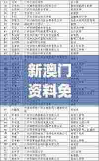 新澳门资料免费长期公开,2024,专家评估说明_创意版13.714