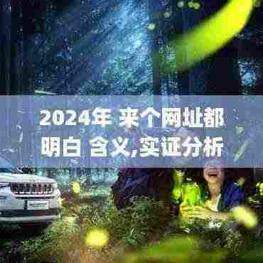 2024年 来个网址都明白 含义,实证分析解释定义_Hybrid1.111