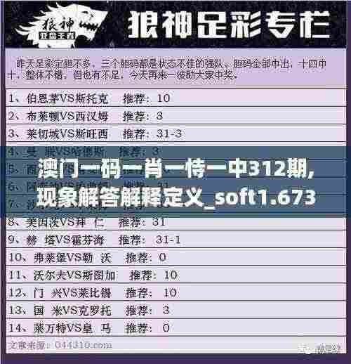 澳门一码一肖一恃一中312期,现象解答解释定义_soft1.673