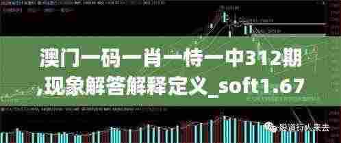 澳门一码一肖一恃一中312期,现象解答解释定义_soft1.673