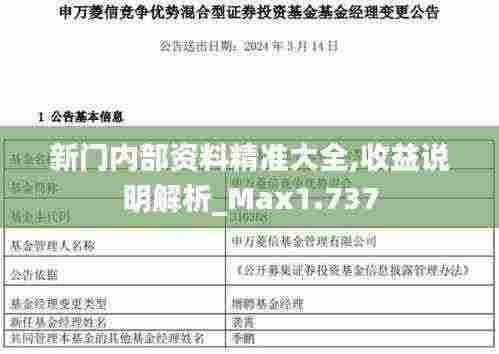 新门内部资料精准大全,收益说明解析_Max1.737
