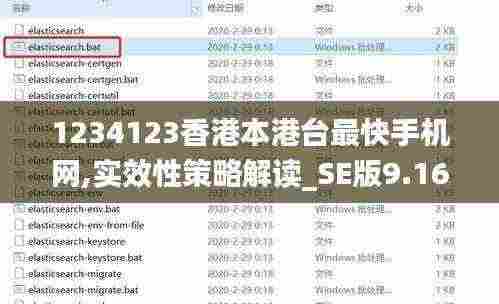 1234123香港本港台最快手机网,实效性策略解读_SE版9.163