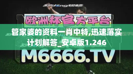 管家婆的资料一肖中特,迅速落实计划解答_安卓版1.246
