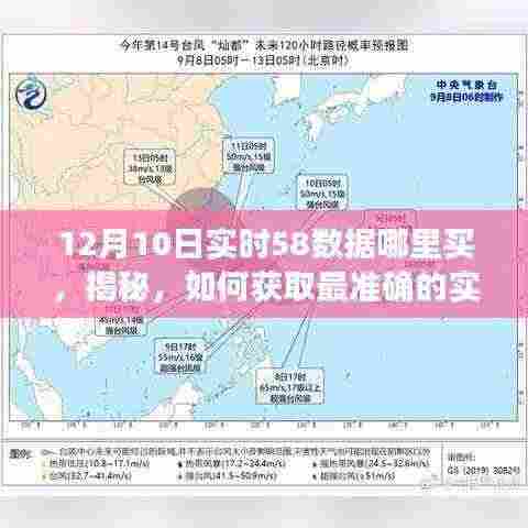 揭秘,如何获取最准确的实时数据——关于12月10日实时58数据购买指南及实时数据获取揭秘