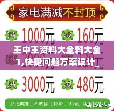 王中王资料大全料大全1,快捷问题方案设计_W3.593