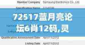 72517蓝月亮论坛6肖12码,灵活性执行计划_WP17.836