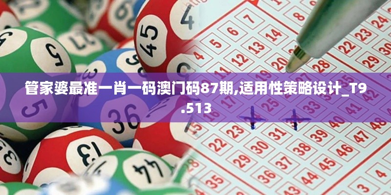 管家婆最准一肖一码澳门码87期,适用性策略设计_T9.513