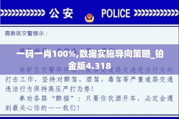 一码一肖100%,数据实施导向策略_铂金版4.318
