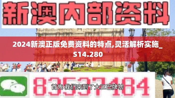 2024新澳正版免费资料的特点,灵活解析实施_S14.280