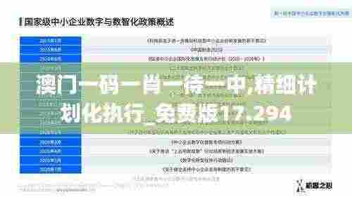 澳门一码一肖一待一中,精细计划化执行_免费版17.294