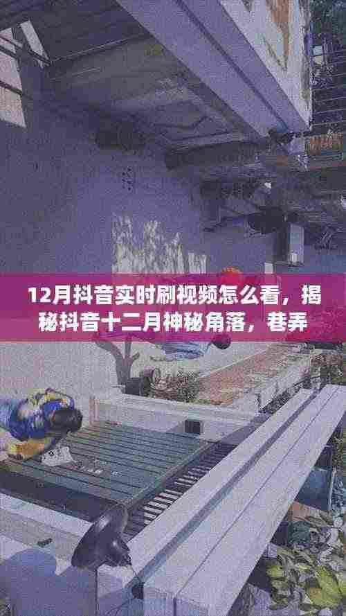 揭秘抖音十二月实时刷视频指南,巷弄深处的特色小店风情展示