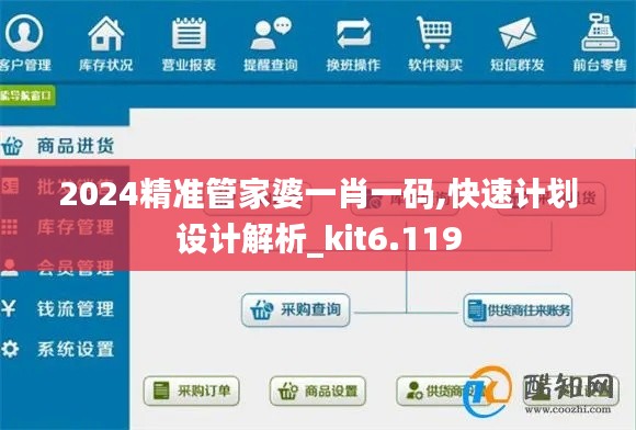 2024精准管家婆一肖一码,快速计划设计解析_kit6.119
