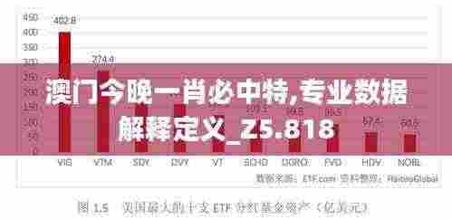 澳门今晚一肖必中特,专业数据解释定义_Z5.818