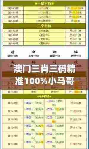 澳门三肖三码精准100%小马哥,动态解释词汇_3K3.876