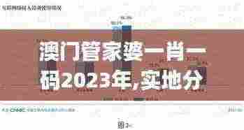 澳门管家婆一肖一码2023年,实地分析数据执行_8DM7.969
