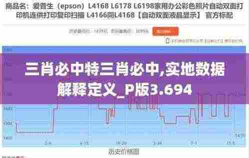 三肖必中特三肖必中,实地数据解释定义_P版3.694