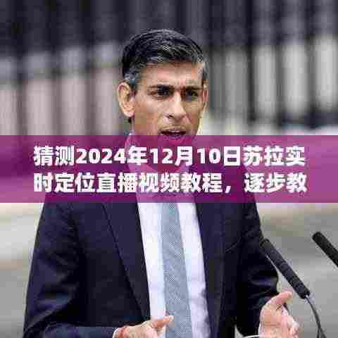 苏拉实时定位直播视频教程入门指南，逐步掌握避免违法犯罪问题