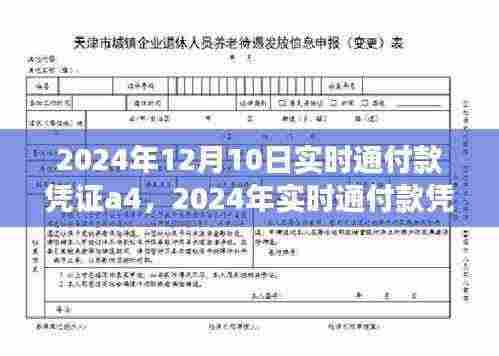 高效便捷的交易体验,2024年实时通付款凭证操作指南及实时通付款凭证a4介绍