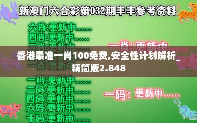 香港最准一肖100免费,安全性计划解析_精简版2.848