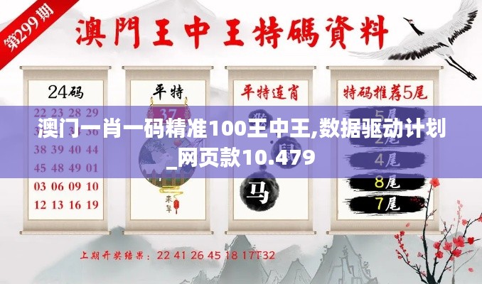 澳门一肖一码精准100王中王,数据驱动计划_网页款10.479