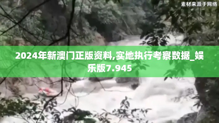 2024年新澳门正版资料,实地执行考察数据_娱乐版7.945