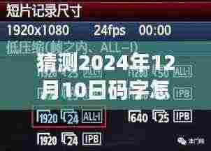 2024年12月10日码字统计全攻略，实时掌握未来码字统计新方法