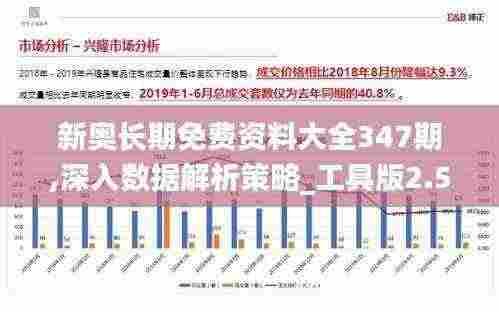 新奥长期免费资料大全347期,深入数据解析策略_工具版2.568