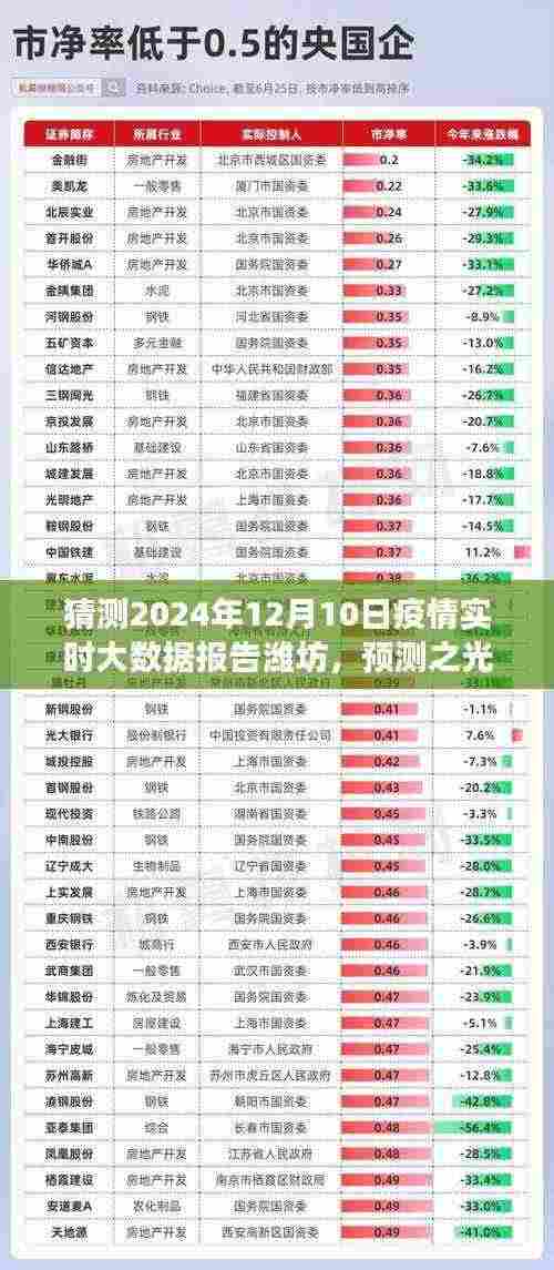 2024年12月10日潍坊疫情实时大数据预测报告，小红书上的展望